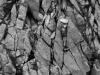 TableauMineral