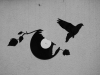 DisqueVolant